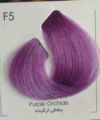 بنفش ارکیده