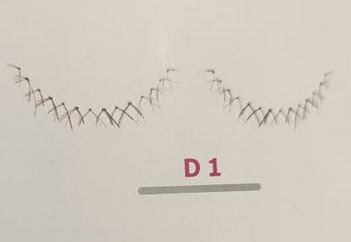 D1