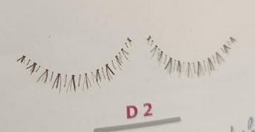 D2